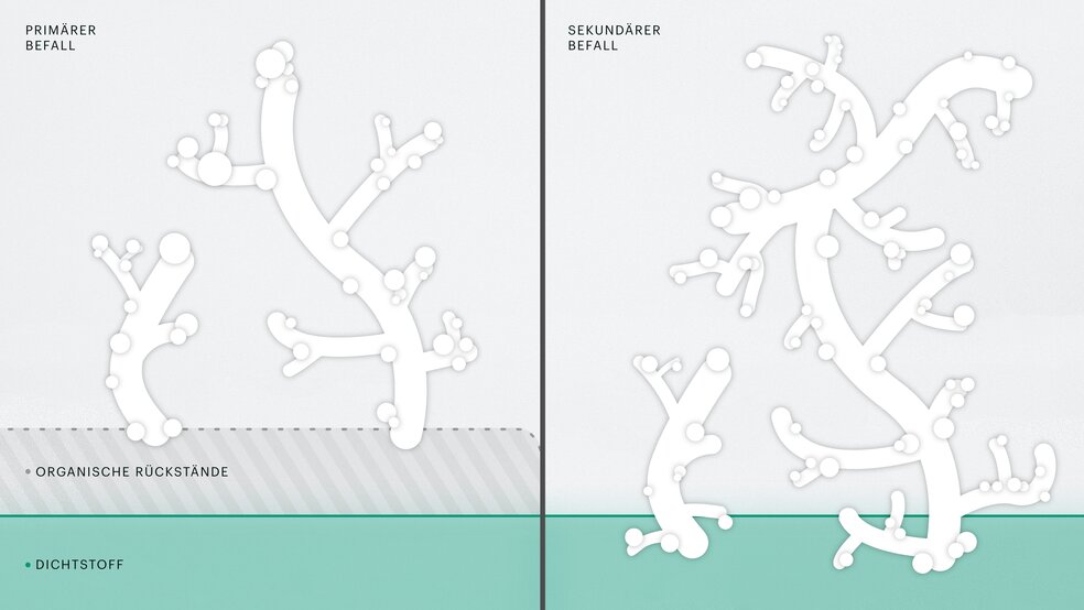 The abstract illustration shows two different stages of mould infestation. Primary mould, where the joint is untouched by the mould spores, and secondary mould, where the mould spores merge with the joint.